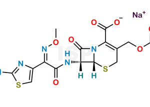 Cefotaxime Sodium - Image 1