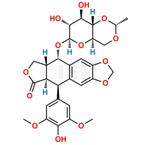 Etoposide - Image 1