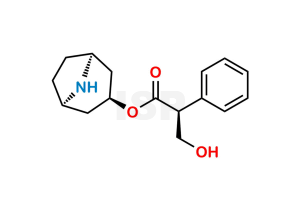 Hyoscyamine Related Compound A - Image 1