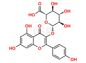 Kaempferol-3-Glucuronide - Image 1