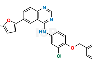 Lapatinib Carboxylic Acid Impurity - Image 1