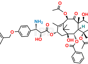 Paclitaxel Impurity 29 - Image 1