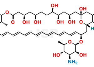 Amphotericin B - Image 1