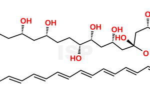 Amphoteronolide B - Image 1