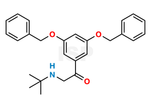 Diphenylmethoxy Terbutaline - Image 1