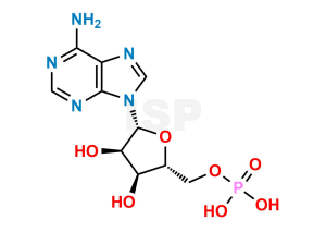 5'-Adenylic Acid - Image 1