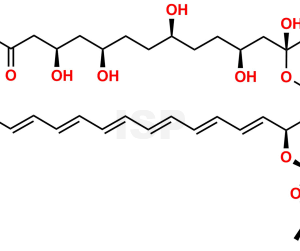 Amphotericin B Impurity 1 - Image 1