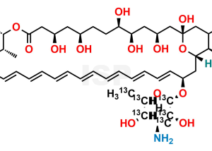 Amphotericin B-13C6 - Image 1