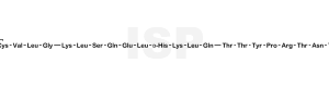 Endo-Thr21-Salmon Calcitonin - Image 1