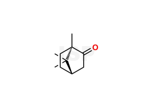 Camphor - Image 1