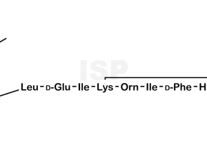 Bacitracin - Image 1