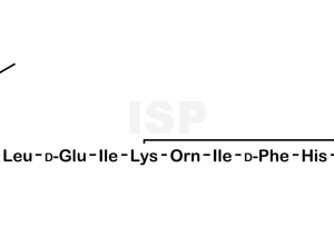 Bacitracin EP Impurity E - Image 1