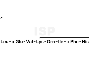 Bacitracin EP Impurity H - Image 1