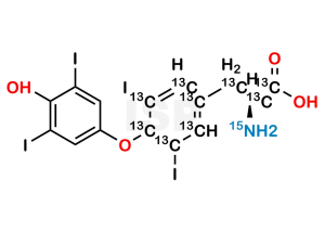 Levothyroxine 13C9 15N - Image 1