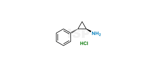 0101109_0