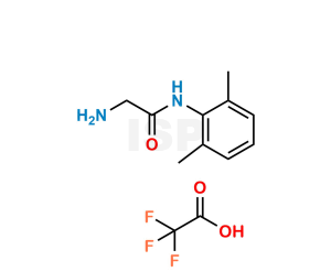 Glycinexylidide (TFA Salt) - Image 1