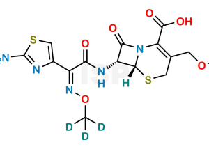 Cefpodoxime D3 - Image 1