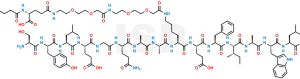 Des 1-11 Semaglutide - Image 1